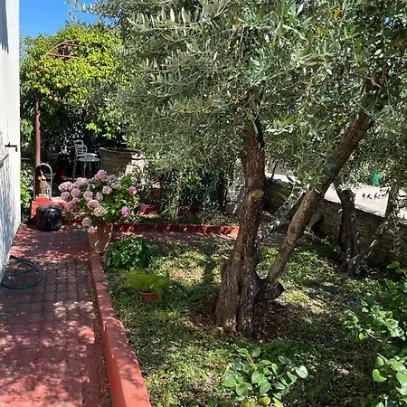 Casa vacanze Nonna Alida Pola