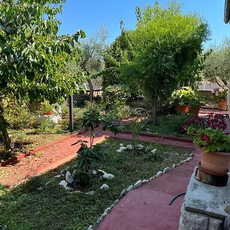 Casa vacanze Nonna Alida